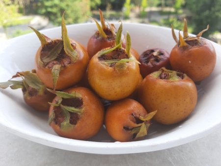 Muşmula (Döngel) Turşusu