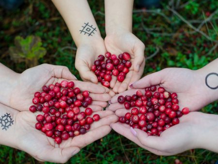 Kızılcıktaki Vitaminler Hangileri? Kızılcığın Faydaları Neler?
